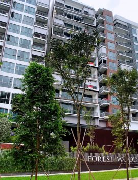 condo-for-rent-singapore-forest-woods-serangoon-mrt-nex-front-view